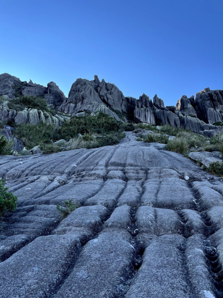 Subida para o Pico das Agulhas Negras - Parque Nacional do Itatiaia Subida para o Pico das Agulhas Negras - Foto: Entre Parques BR