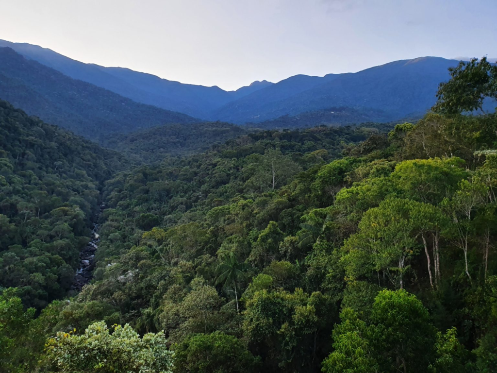 Mirante do Último Adeus - Parque Nacional do Itatiaia Mirante do Último Adeus - Foto: Entre Parques BR